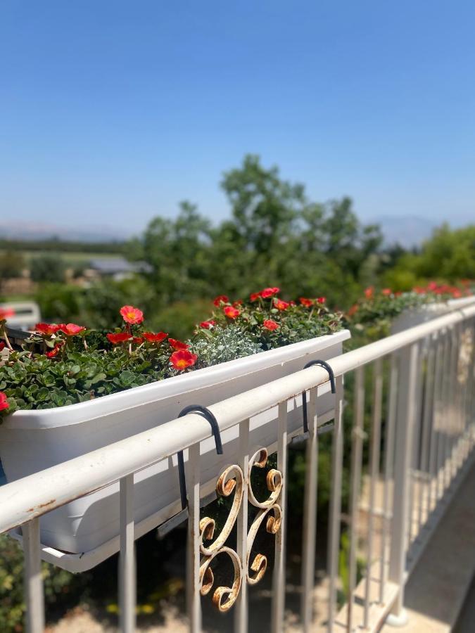 Apartamento The Roof Kfar Blum Exterior foto